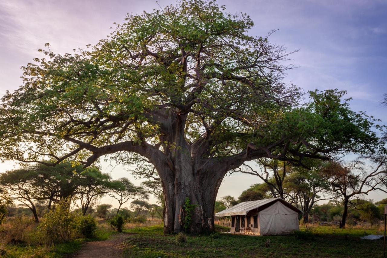 Baobab Tented Camp Kwa Kuchinia Bagian luar foto