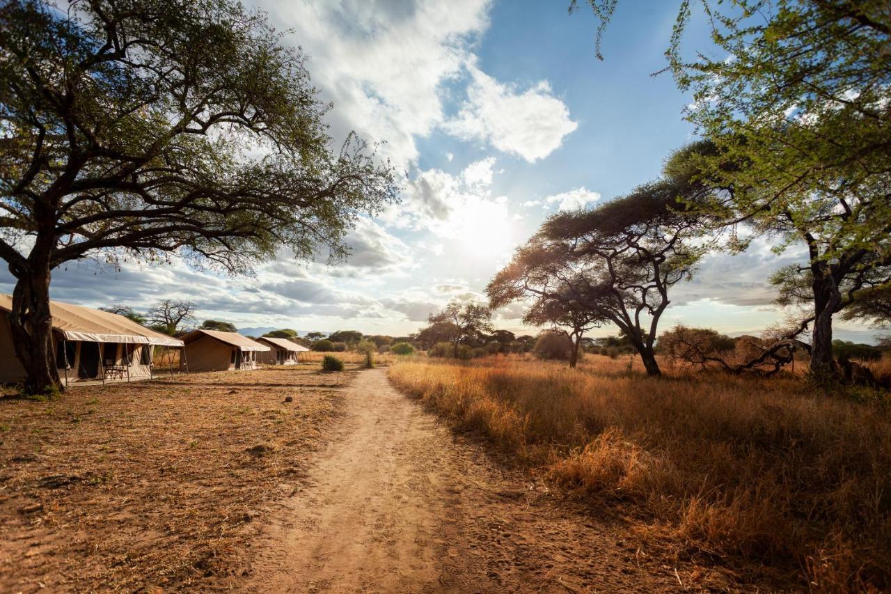 Baobab Tented Camp Kwa Kuchinia Bagian luar foto