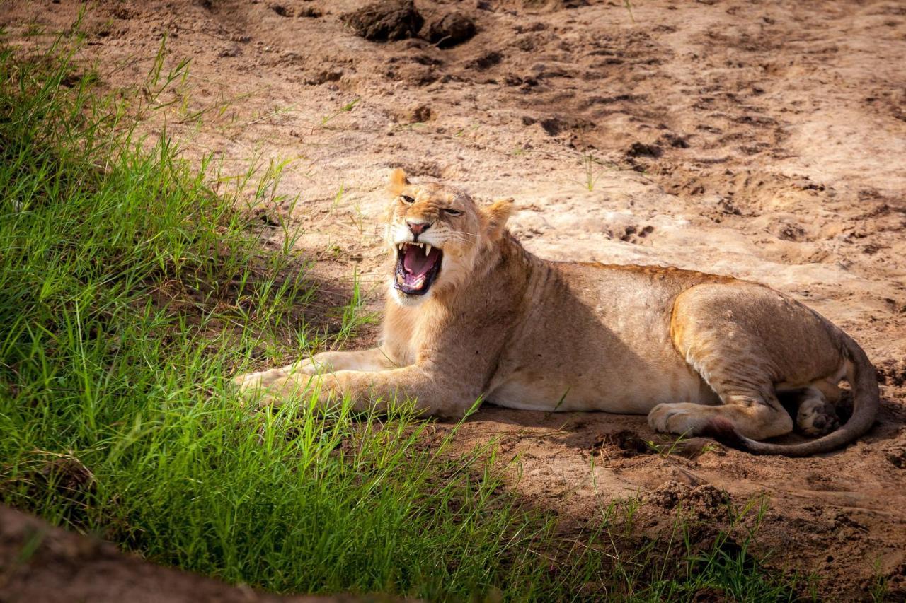 Baobab Tented Camp Kwa Kuchinia Bagian luar foto