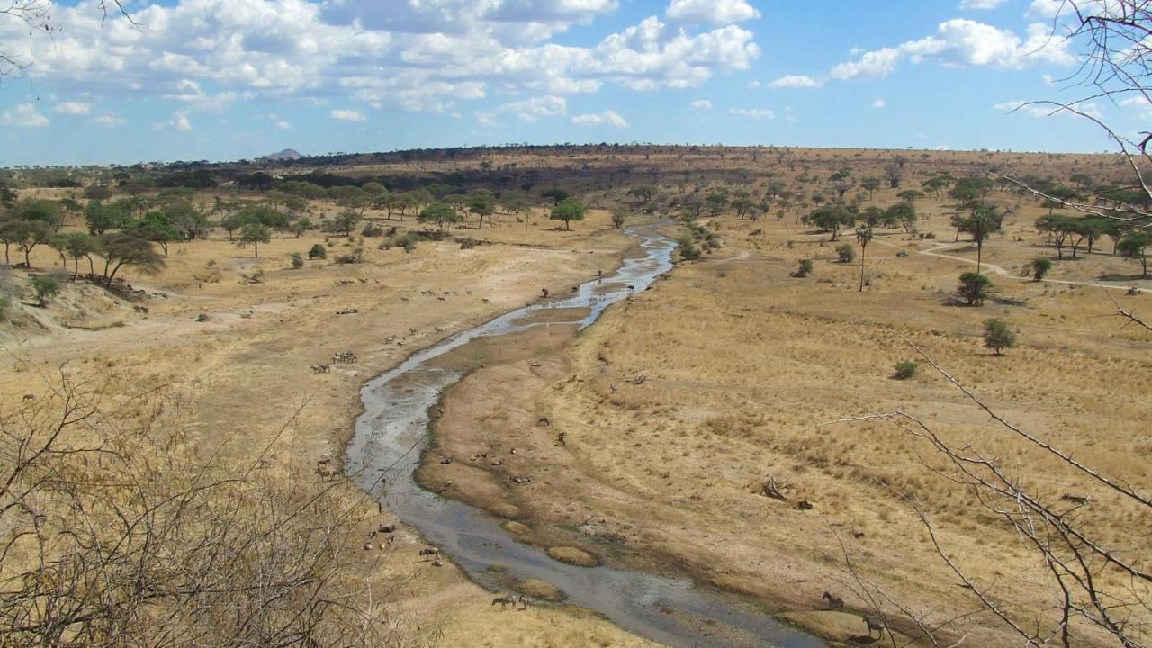 Baobab Tented Camp Kwa Kuchinia Bagian luar foto